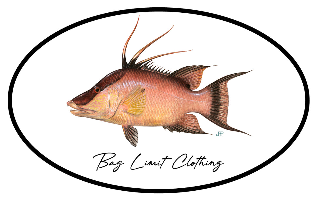 Classic Hogfish Sticker Pack of 10