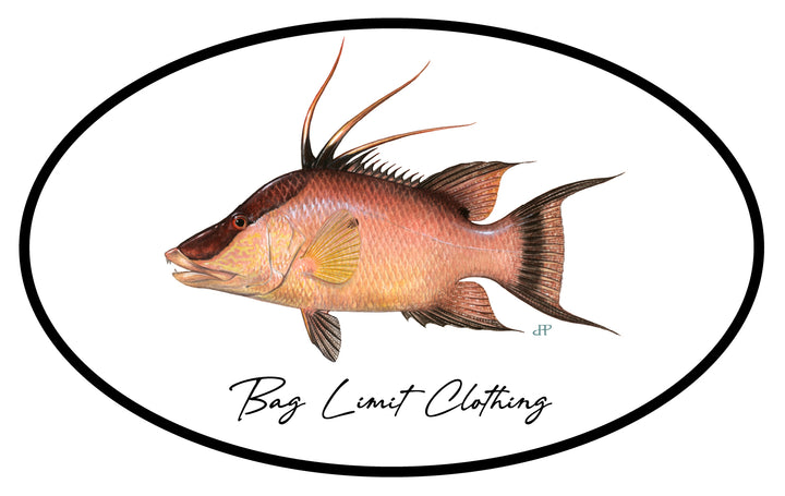 Classic Hogfish Sticker Pack of 10