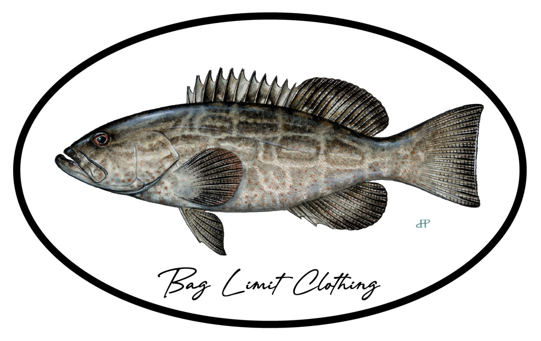 Classic Black Grouper Sticker Pack of 10