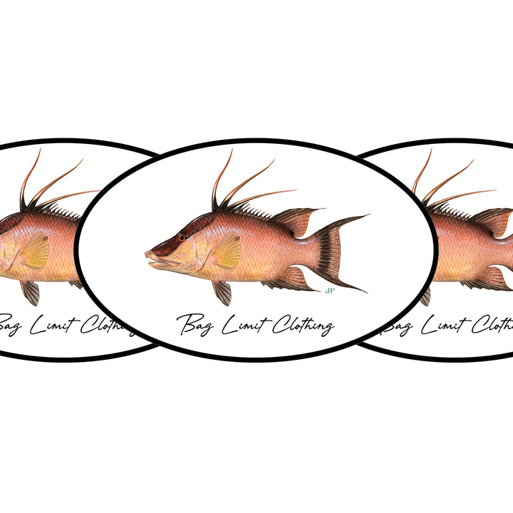 Classic Hogfish Sticker Pack of 10